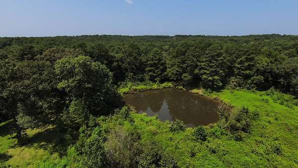 87 Acres of Land for Sale in Palmersville, Tennessee