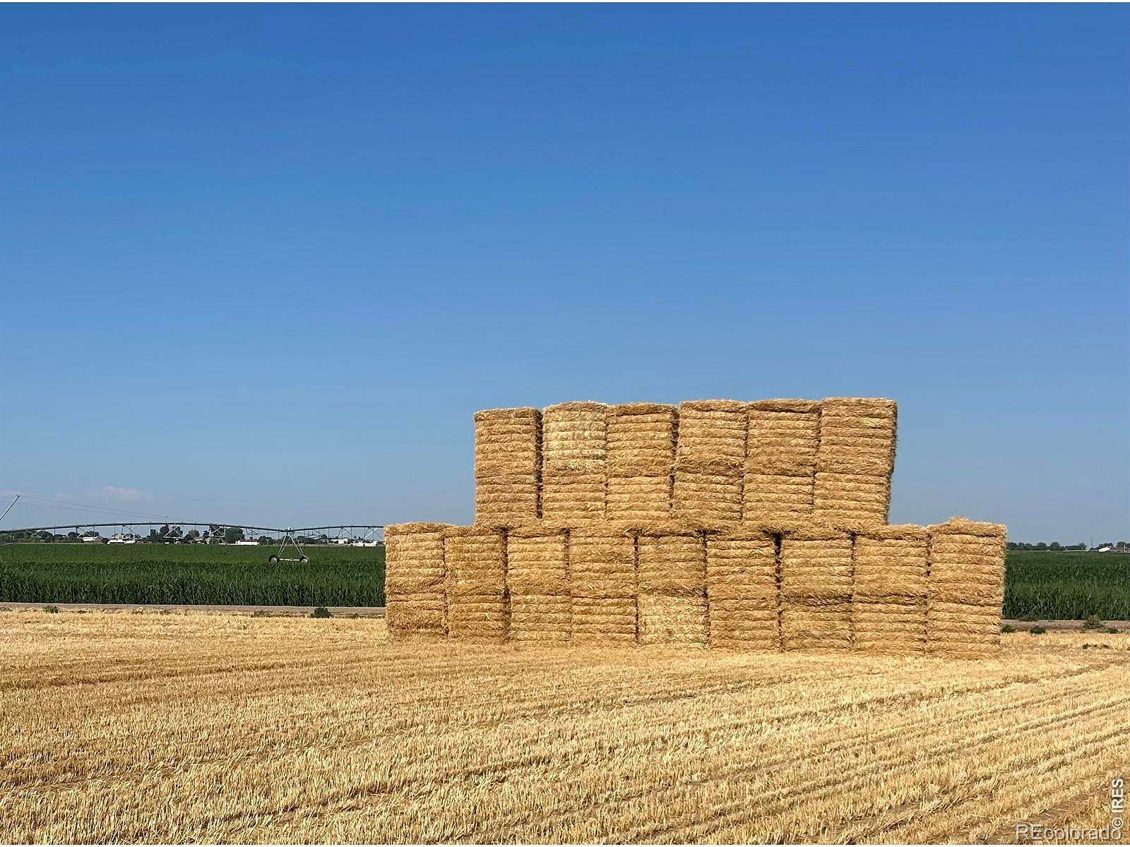 186 Acres of Land for Sale in Windsor, Colorado