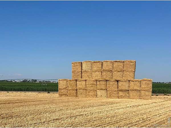 186 Acres of Land for Sale in Windsor, Colorado