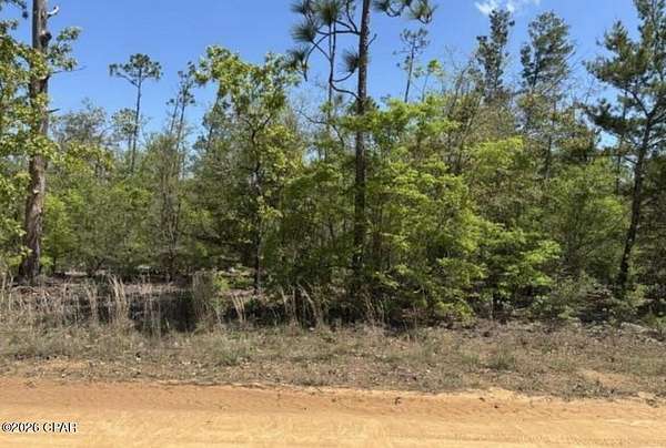 10 Acres of Residential Land for Sale in Fountain, Florida