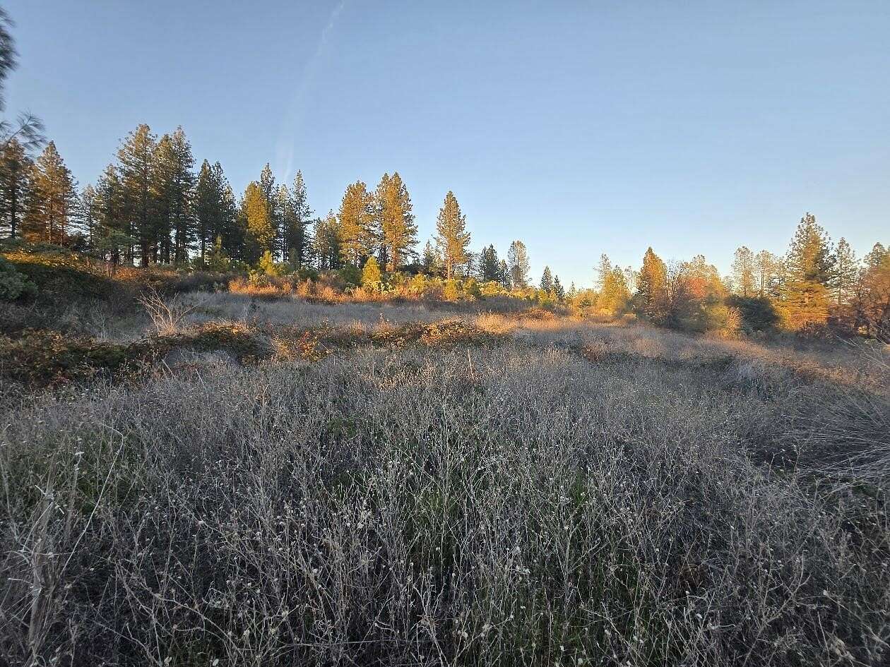 60 Acres of Land for Sale in Oak Run, California