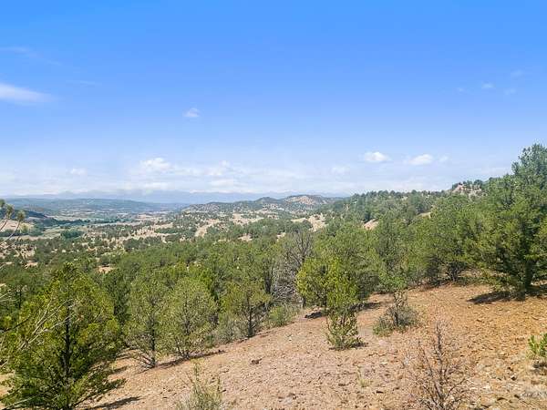 41 Acres of Land for Sale in Weston, Colorado