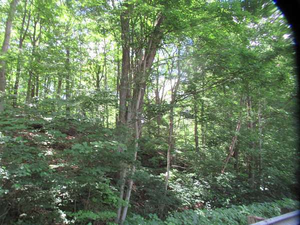 3.58 Acres of Land for Sale in Buchanan, Michigan