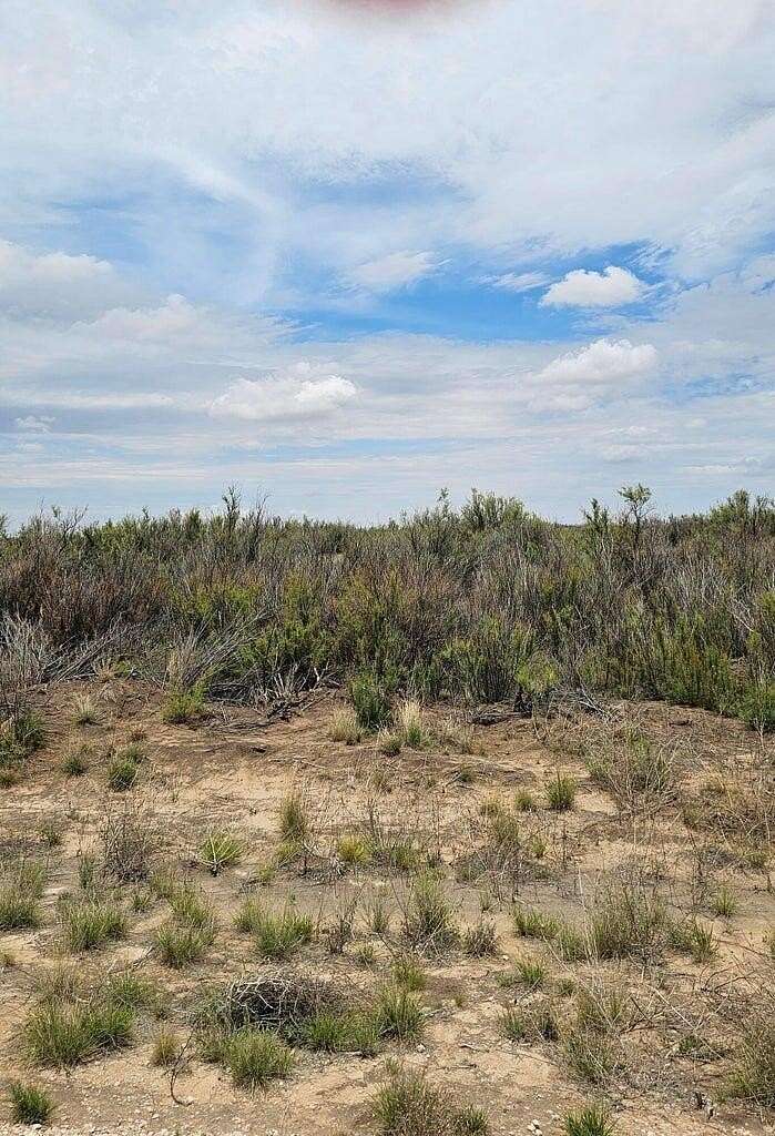 10 Acres of Land for Sale in Brownfield, Texas