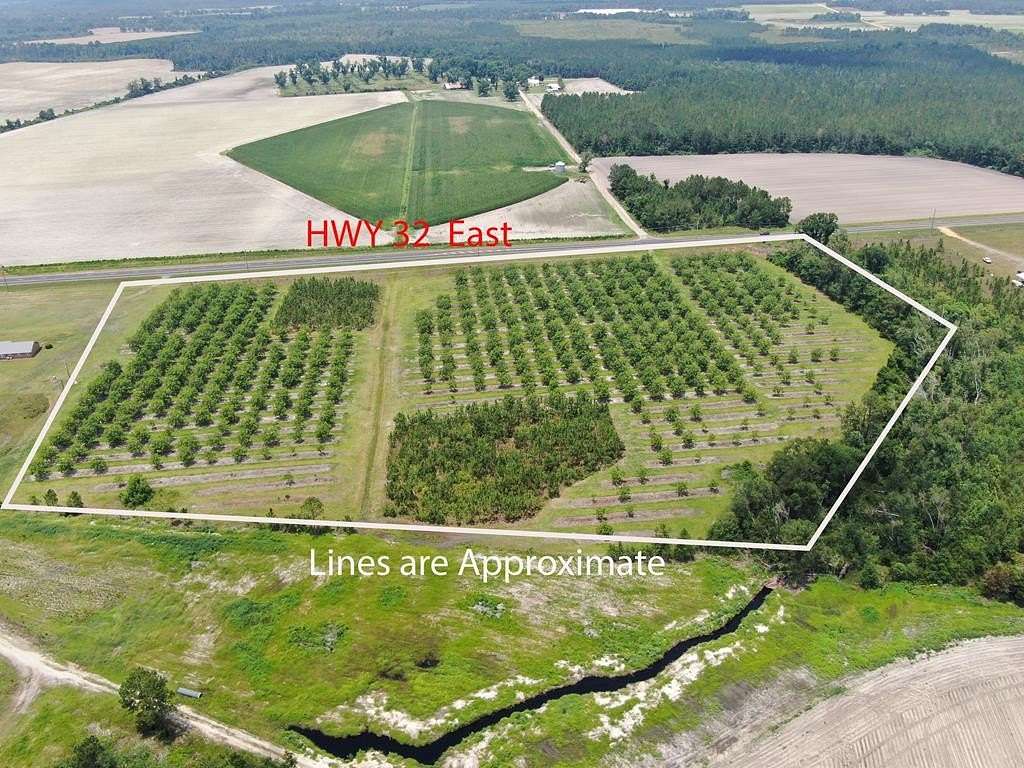 21.6 Acres of Land for Sale in Nicholls, Georgia