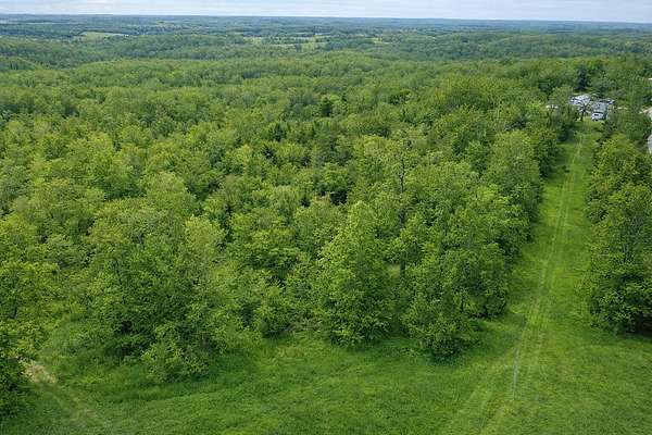 42.9 Acres of Recreational & Residential Land for Sale in Thayer, Missouri