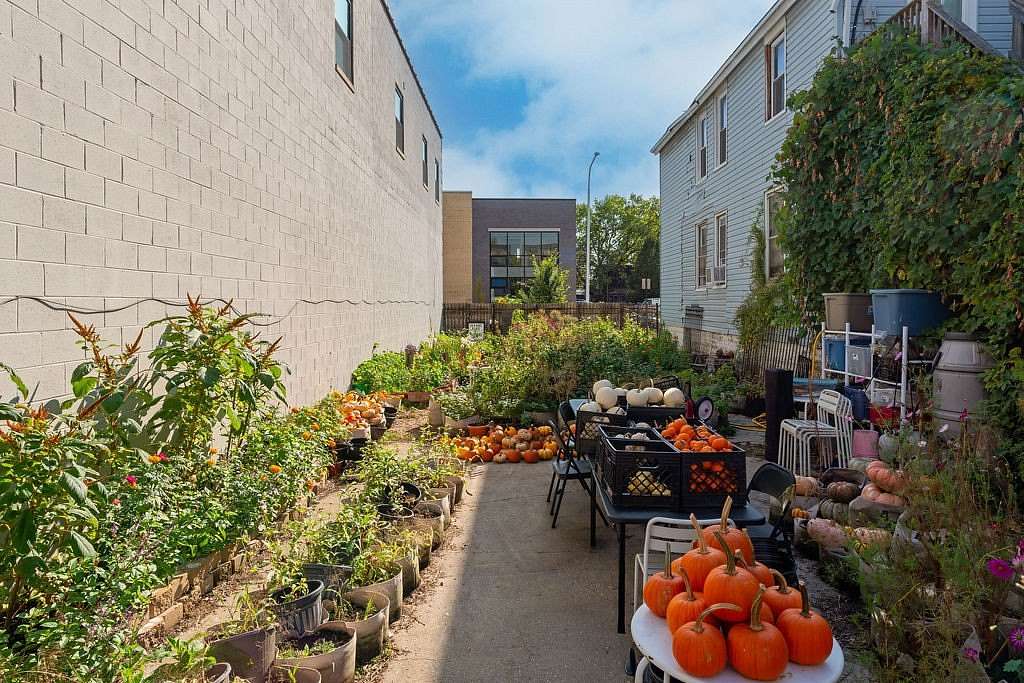 0.05 Acres of Residential Land for Sale in Chicago, Illinois