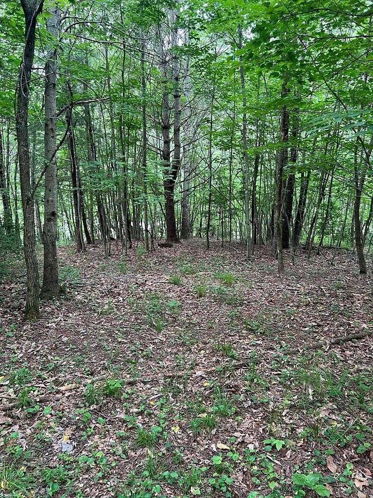 5 Acres of Land for Sale in Troutdale, Virginia