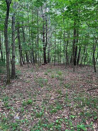 5 Acres of Land for Sale in Troutdale, Virginia