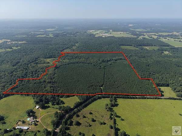 146 Acres of Recreational & Residential Land for Sale in Naples, Texas