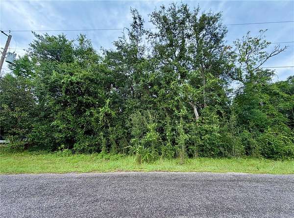 0.42 Acres of Residential Land for Sale in Silver Springs, Florida