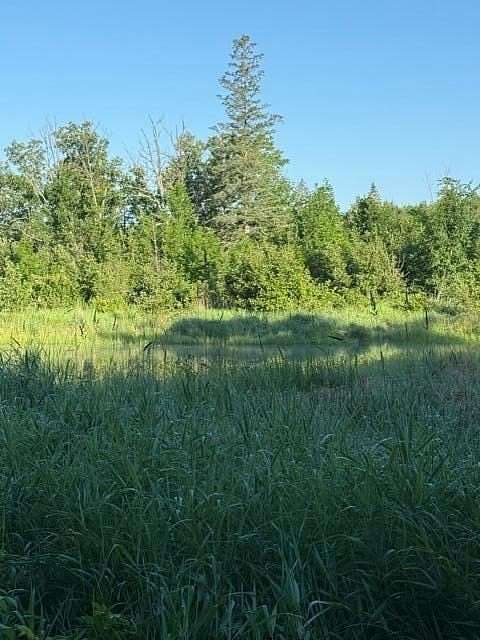 120 Acres of Land for Sale in Pine River, Minnesota