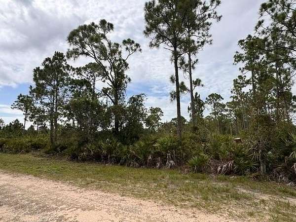 0.17 Acres of Residential Land for Sale in Punta Gorda, Florida