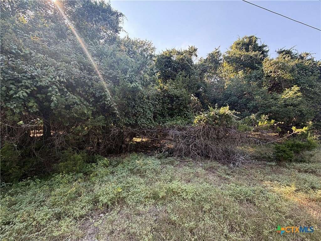 0.67 Acres of Residential Land for Sale in Morgan's Point Resort, Texas