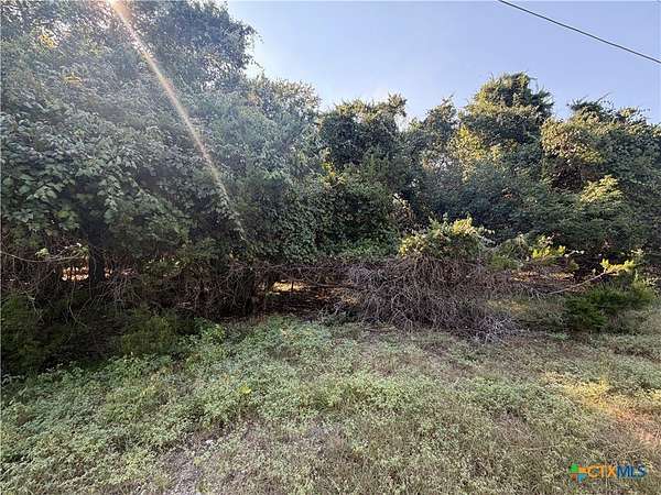 0.67 Acres of Residential Land for Sale in Morgan's Point Resort, Texas