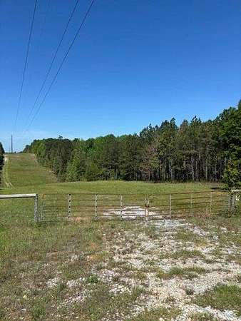 20 Acres of Recreational & Residential Land for Sale in Auburn, Alabama