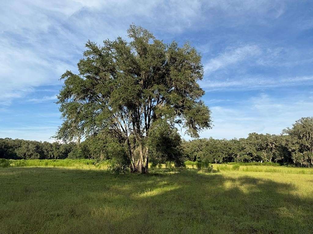 38 Acres of Recreational Land for Sale in Old Town, Florida