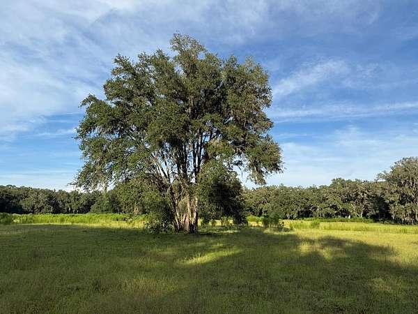 38 Acres of Recreational Land for Sale in Old Town, Florida