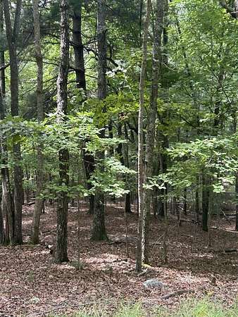 1.5 Acres of Residential Land for Sale in Morganton, Georgia