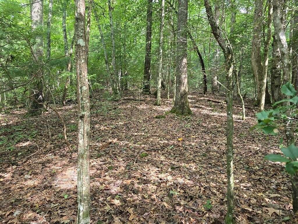 3.5 Acres of Land for Sale in Hiawassee, Georgia