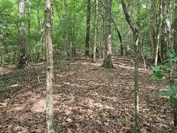 3.5 Acres of Land for Sale in Hiawassee, Georgia