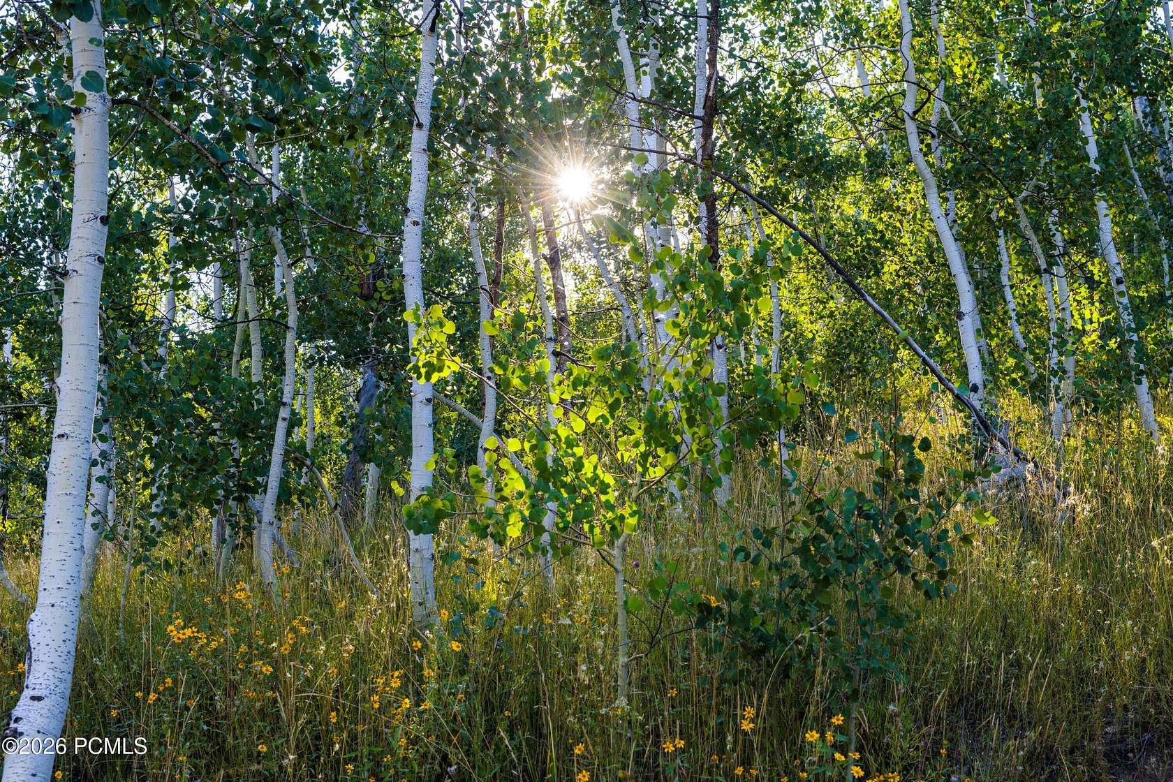 1 Acre of Residential Land for Sale in Coalville, Utah