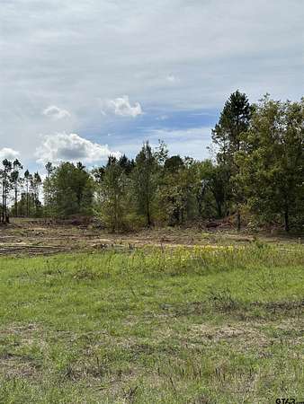 13.2 Acres of Land for Sale in Troup, Texas