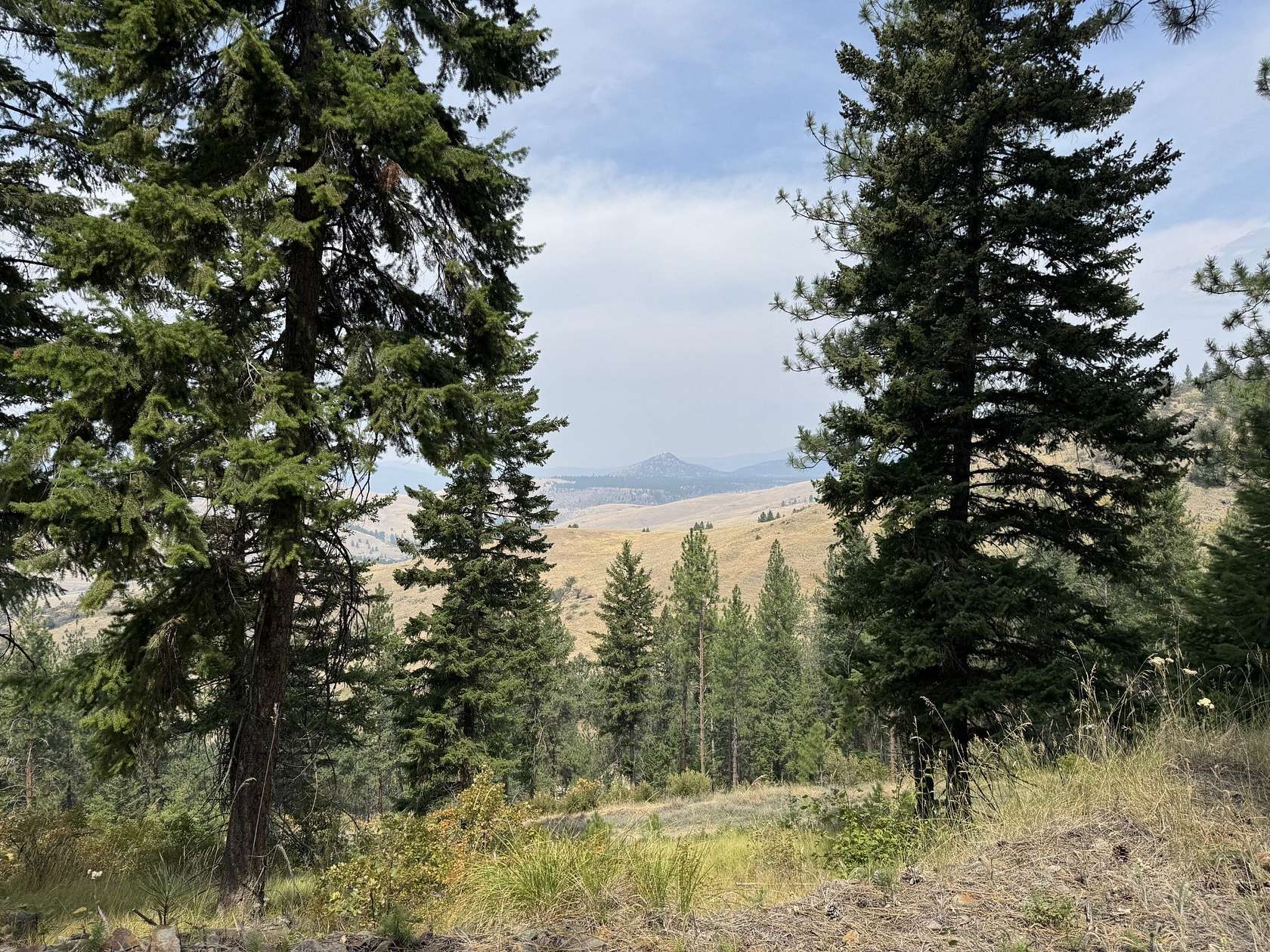 20 Acres of Recreational & Residential Land for Sale in Plains, Montana
