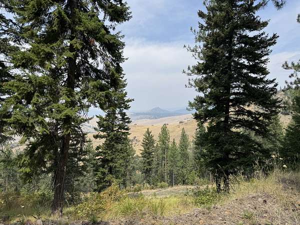 20 Acres of Recreational & Residential Land for Sale in Plains, Montana