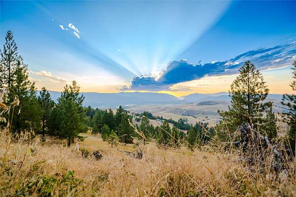 20 Acres of Recreational & Residential Land for Sale in Plains, Montana
