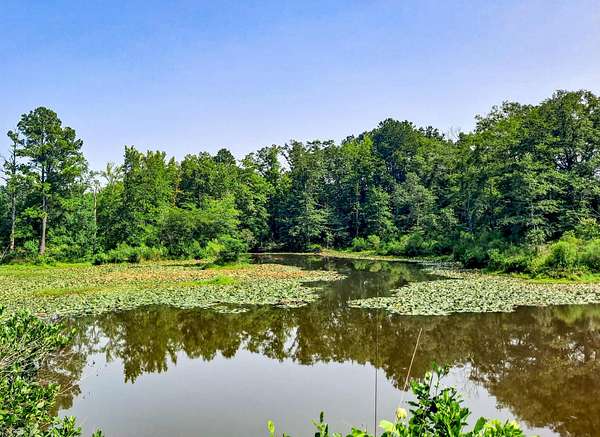 311 Acres of Land for Sale in Carbon Hill, Alabama