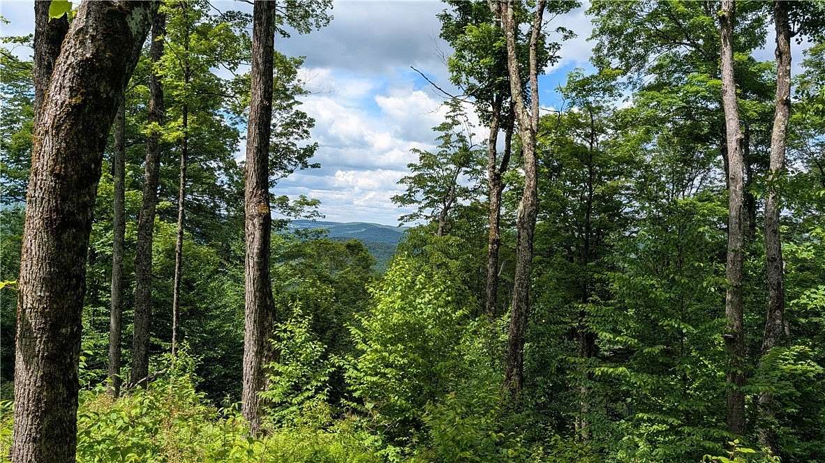 5.1 Acres of Residential Land for Sale in Hamden, New York