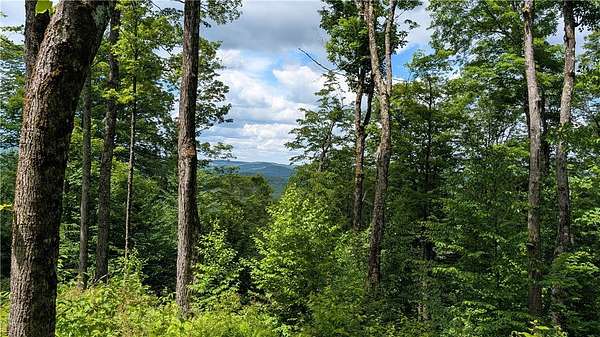 5.1 Acres of Residential Land for Sale in Hamden, New York