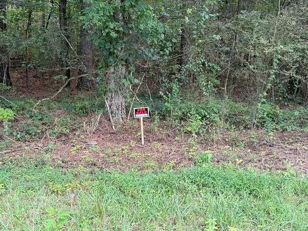2 Acres of Residential Land for Sale in Taylorsville, Georgia