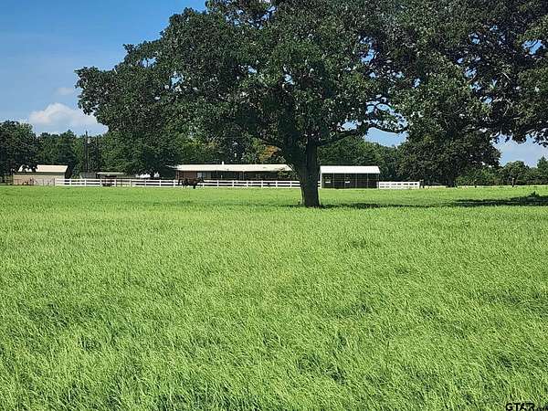 24.6 Acres of Recreational & Residential Land for Sale in Athens, Texas