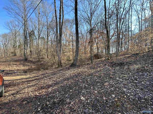 0.53 Acres of Residential Land for Sale in Athens, Alabama
