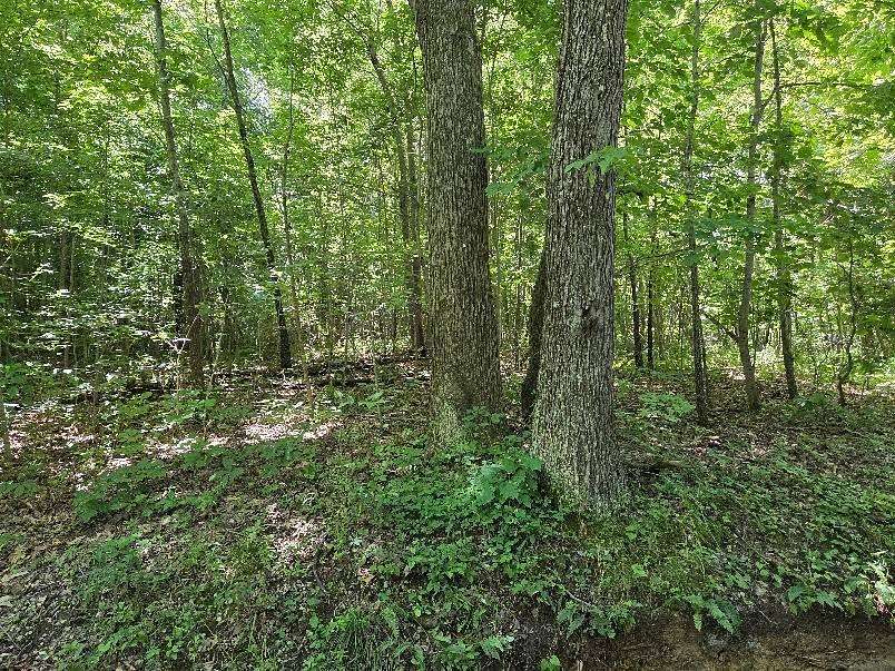 Land for Sale in McArthur, Ohio