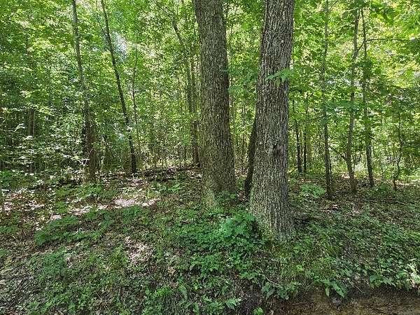 Land for Sale in McArthur, Ohio