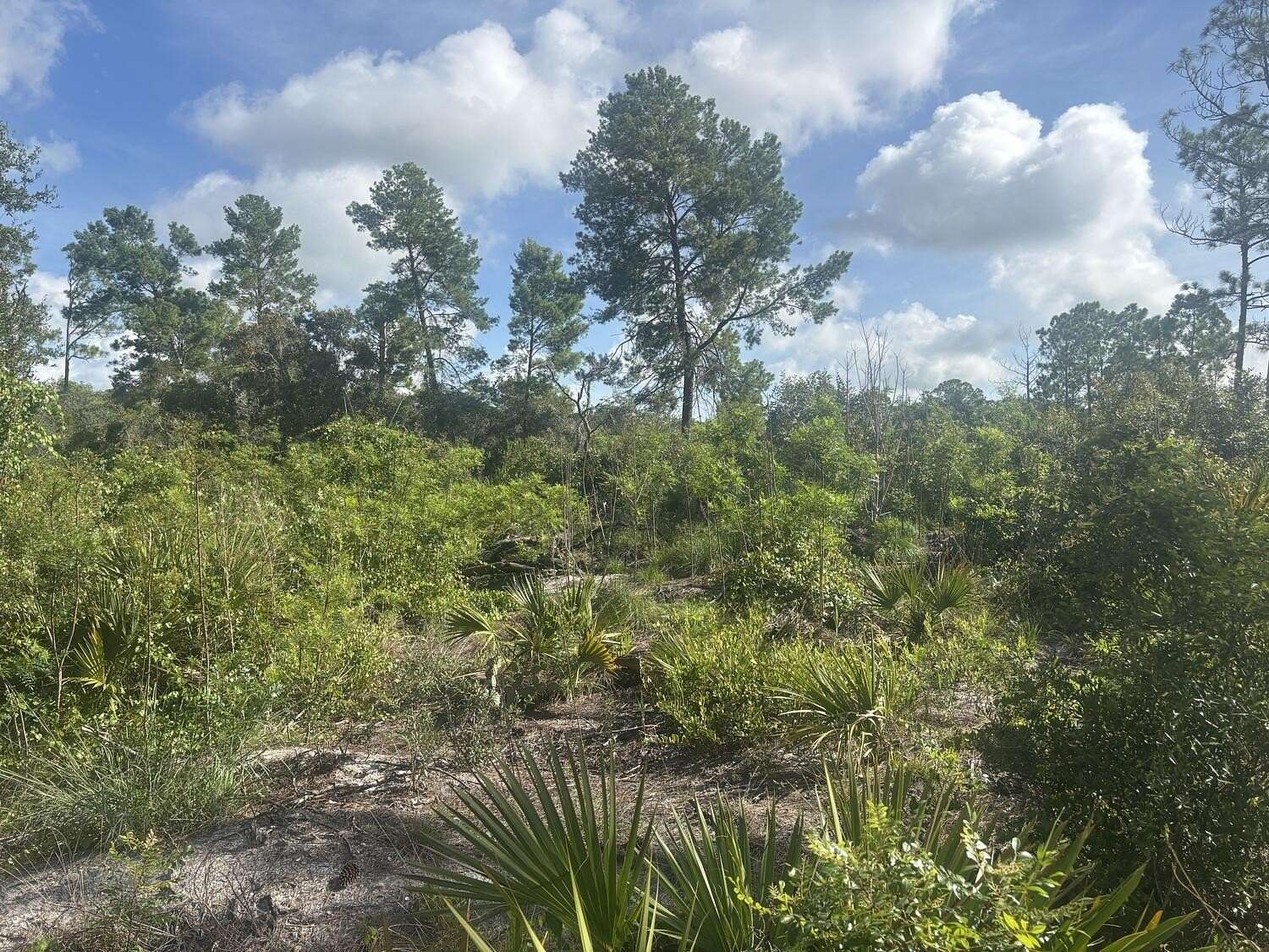 0.23 Acres of Residential Land for Sale in Lake Placid, Florida