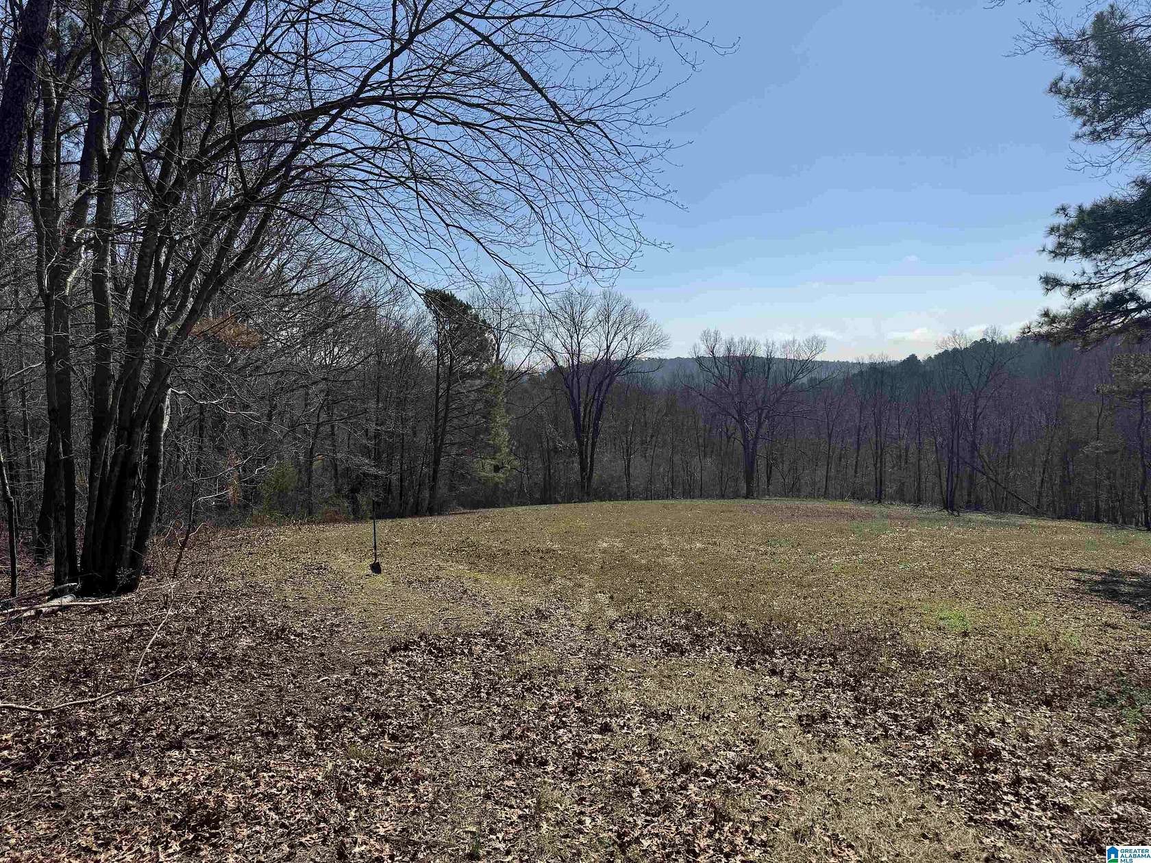 28 Acres of Recreational & Residential Land for Sale in Fort Payne, Alabama