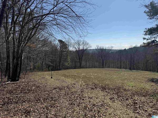 28 Acres of Recreational & Residential Land for Sale in Fort Payne, Alabama