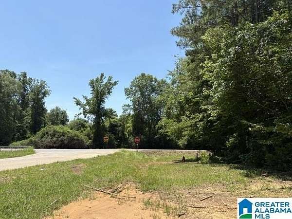 18 Acres of Land for Sale in Maplesville, Alabama