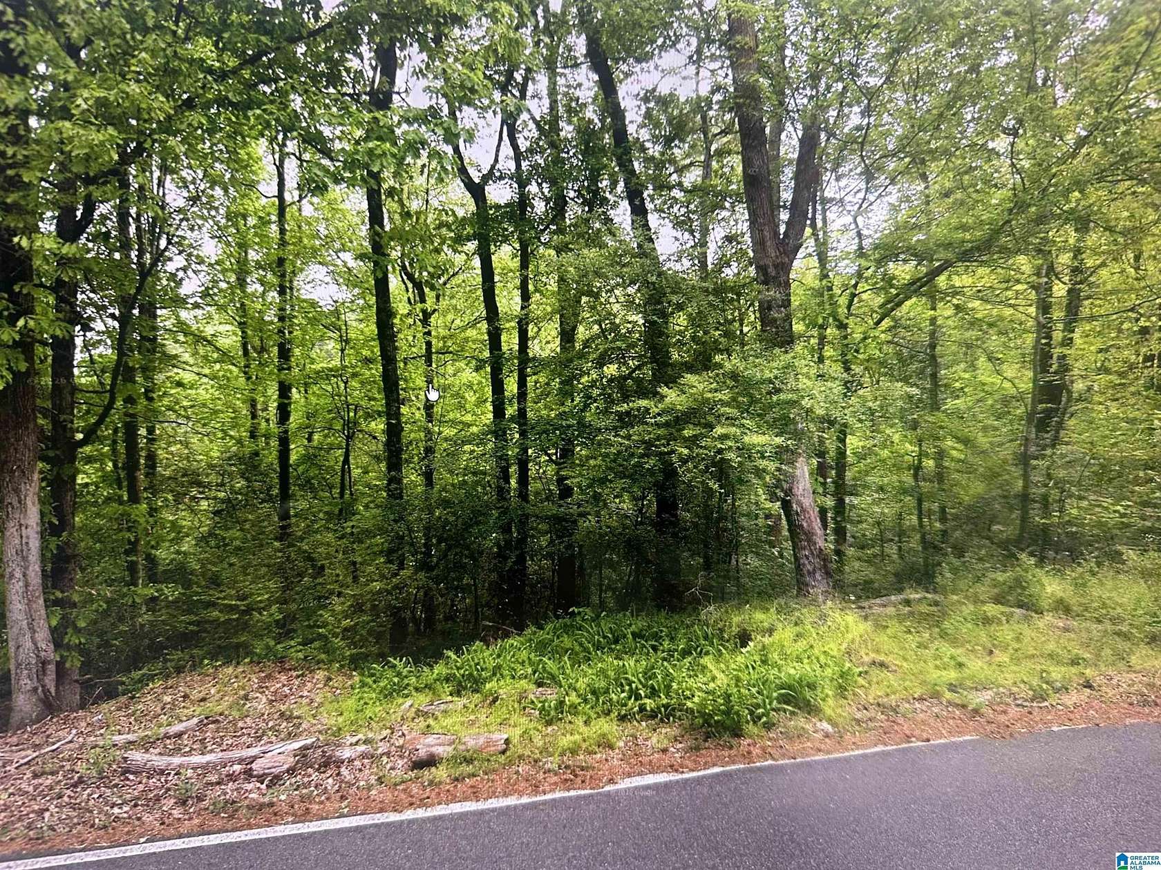 0.82 Acres of Residential Land for Sale in Birmingham, Alabama