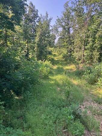 5 Acres of Residential Land for Sale in Fredericktown, Missouri