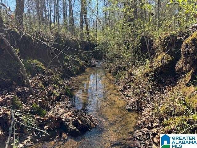 68 Acres of Recreational & Residential Land for Sale in Wadley, Alabama