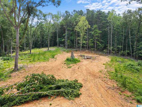 39 Acres of Recreational & Residential Land for Sale in Pinson, Alabama