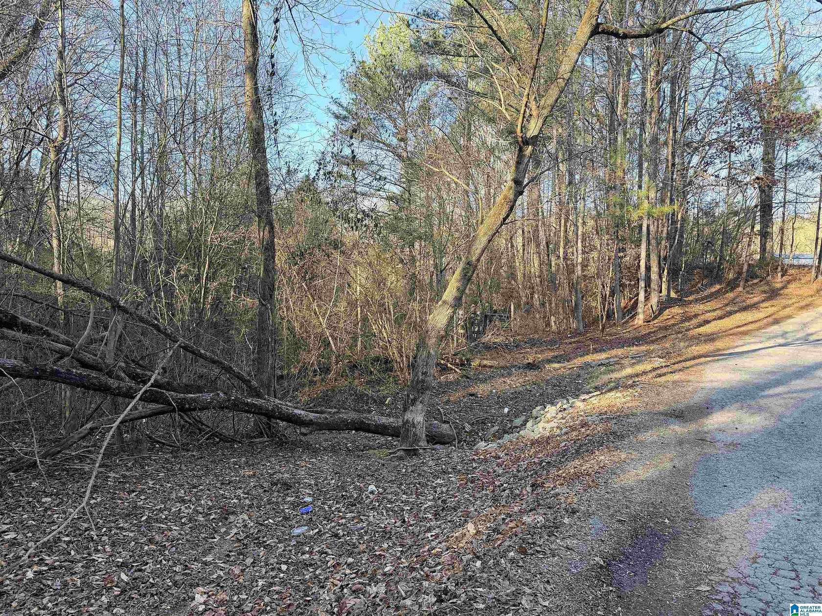 1 Acre of Land for Sale in Cordova, Alabama