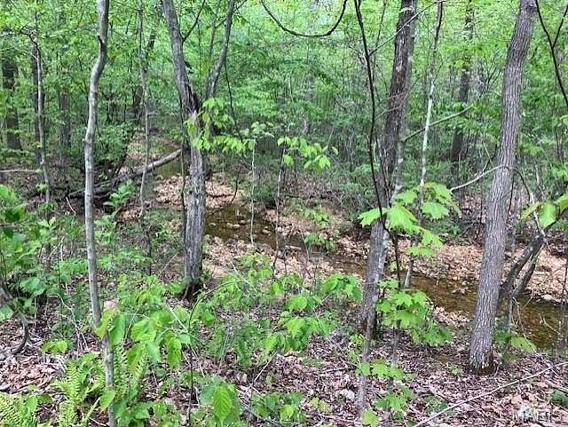 8 Acres of Land for Sale in Fredericktown, Missouri