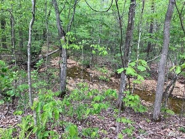 8 Acres of Land for Sale in Fredericktown, Missouri