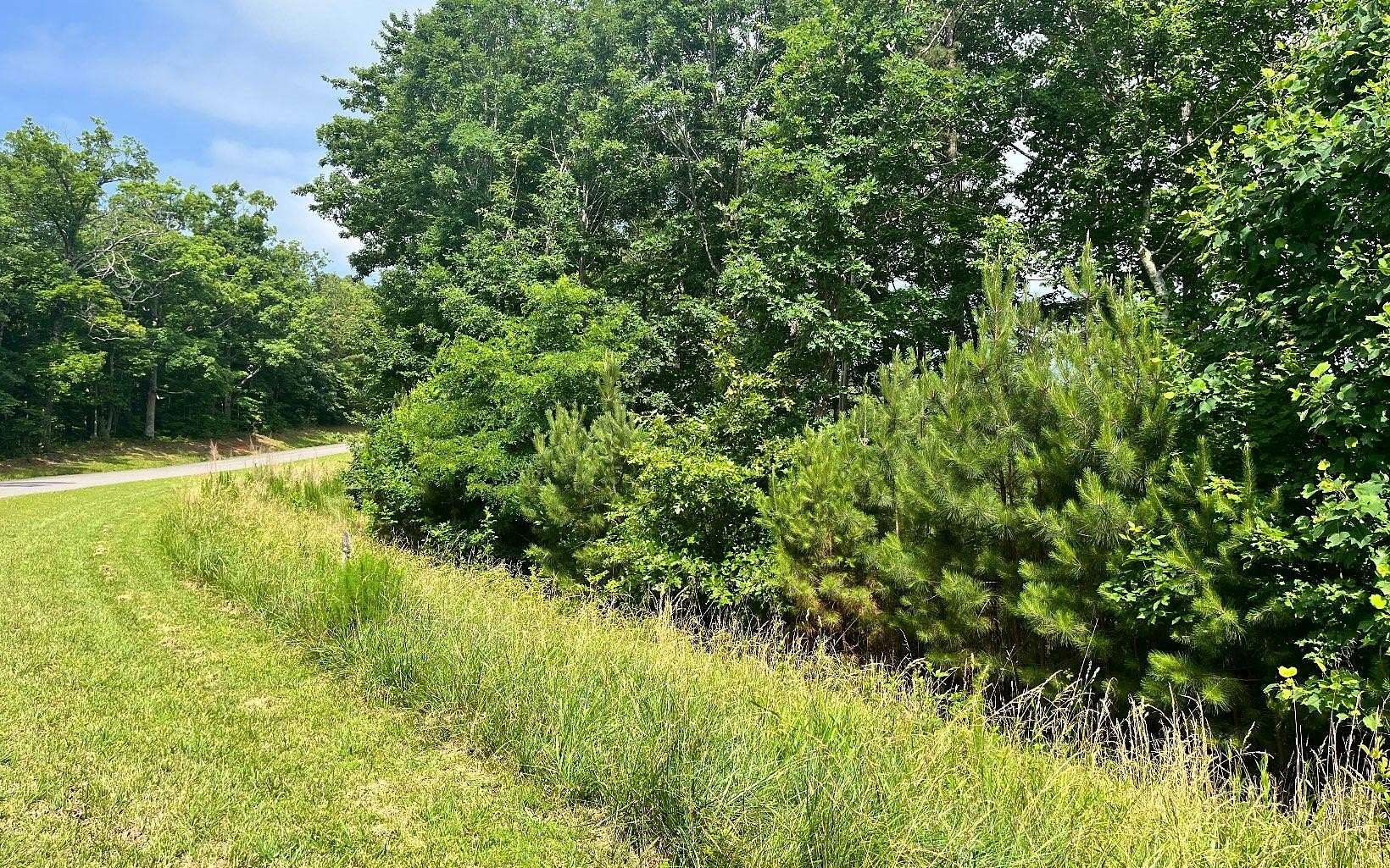 1.74 Acres of Land for Sale in Blairsville, Georgia